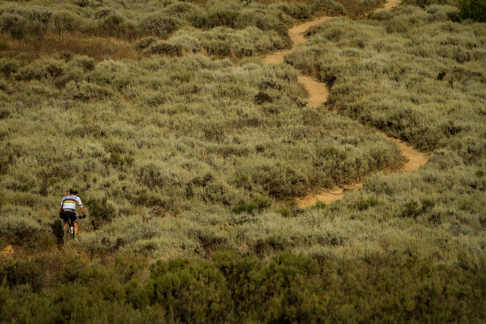 Nino Schurter in Stellenbosch, Südafrika