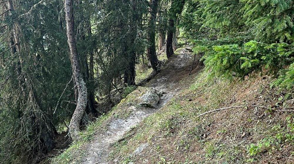 Schabziger Höhenweg Glarus Mountainbike Unfall Kantonspolizei 