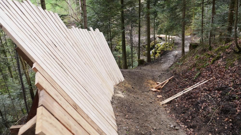 Zugerberg -Trail
