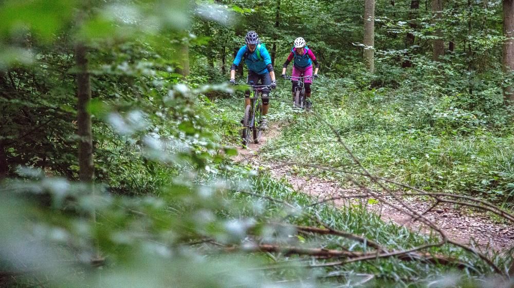 Singletrail Pfannenstiel Mountainbike