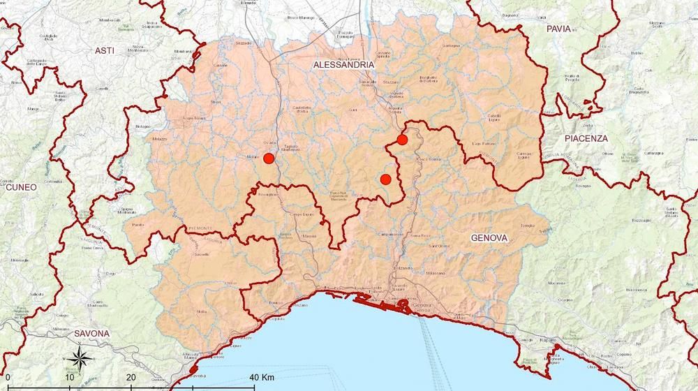 Afrikanische Schweinepest Rote Zone Betretungsverbot Wald Ligurien Piemont