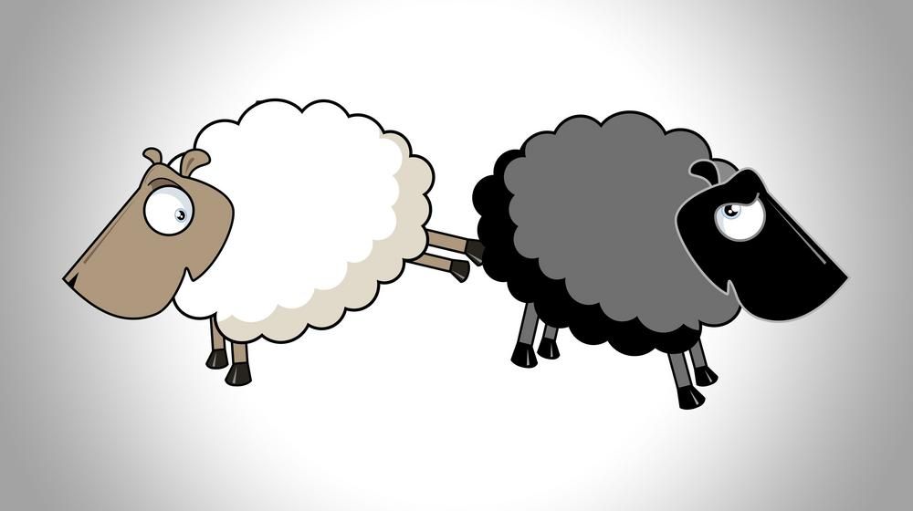 Schwarzes Schaf aus SVP-Kampagne