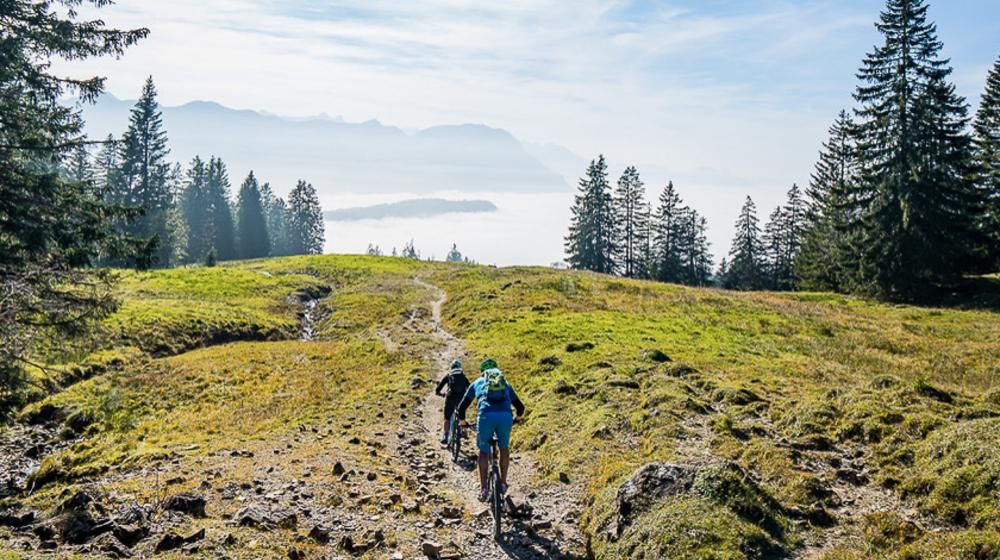 Mountainbike Schwyz