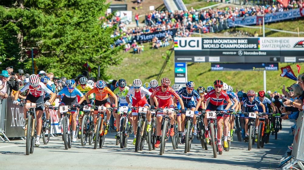 WM-Vorschau 2019
