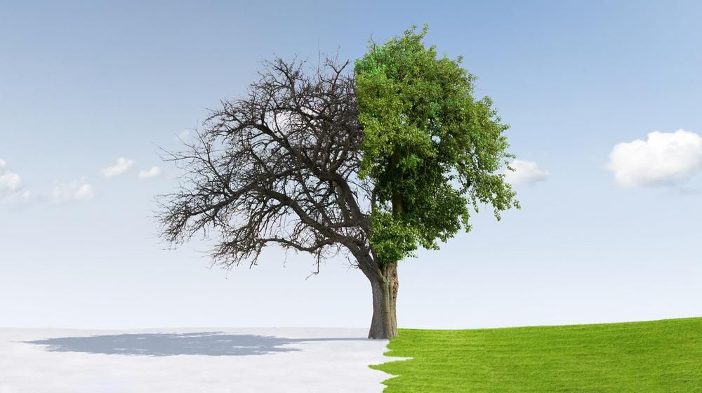Winter-Sommer