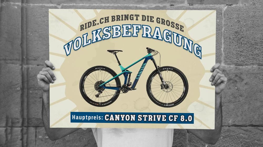 Leserumfrage 2019