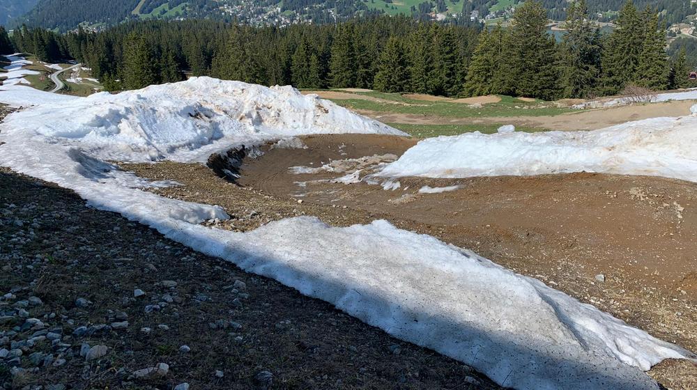Lenzerheide Bikepark FLOWline Juni 2019