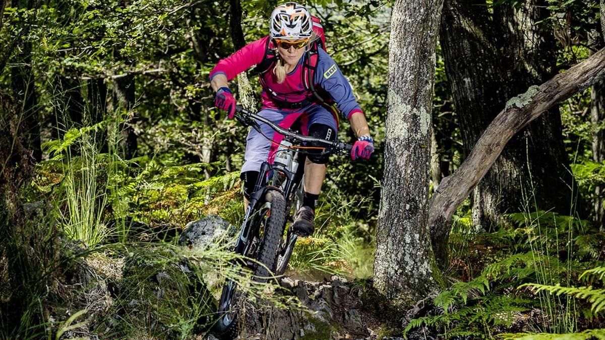 Mountainbike Singletrail Tour Ride Magazin