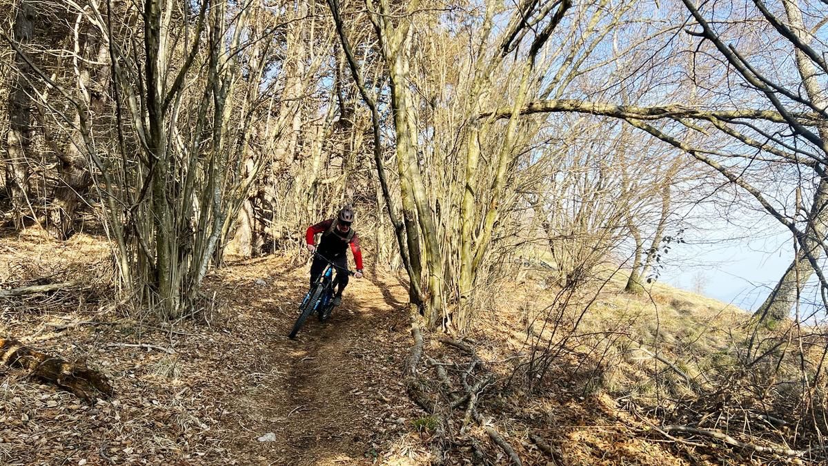 Monte Jouf