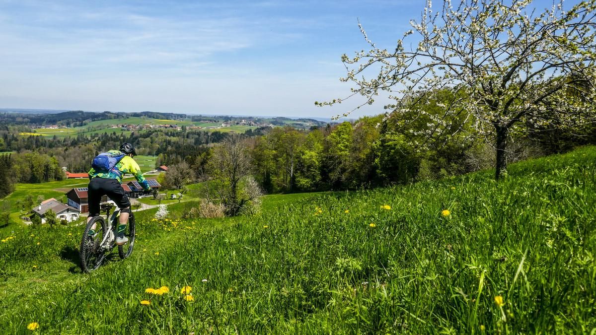 Prientaler Almrunde