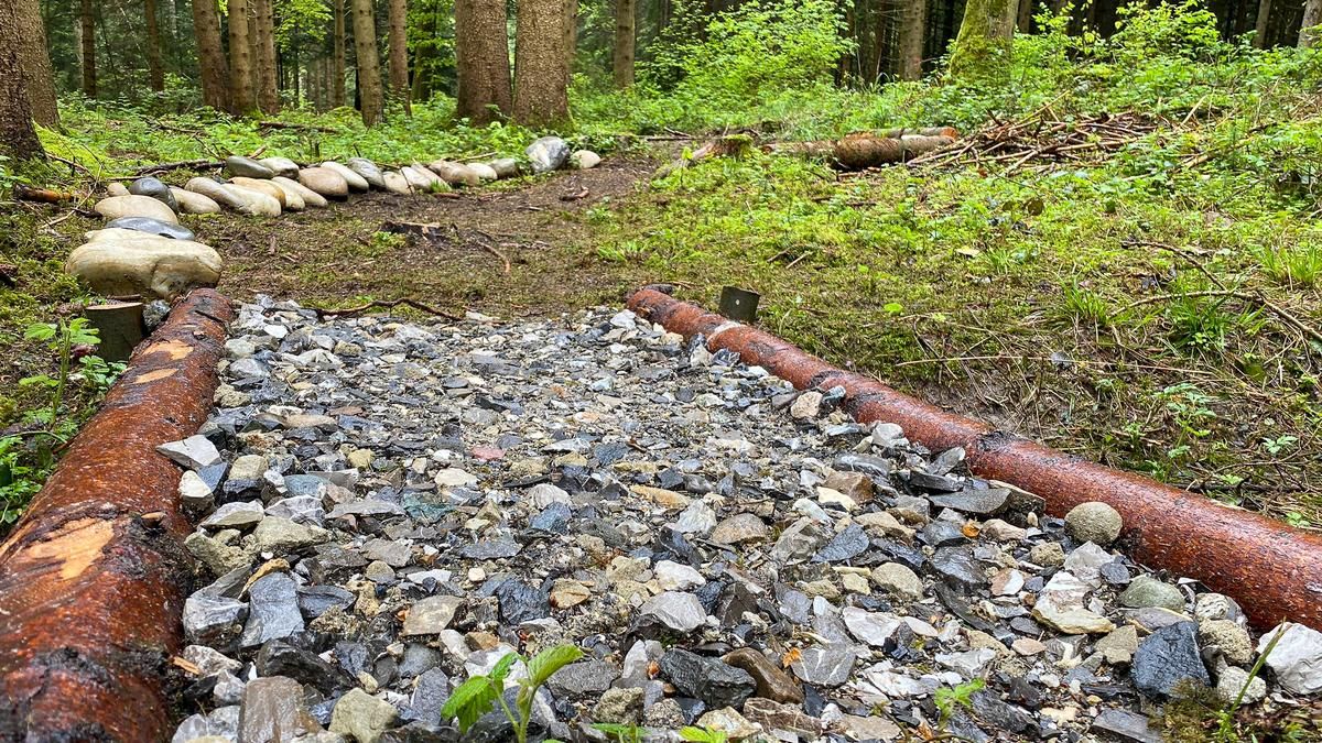 Beromünster Mountainbike-Strecke Sänder Trail 