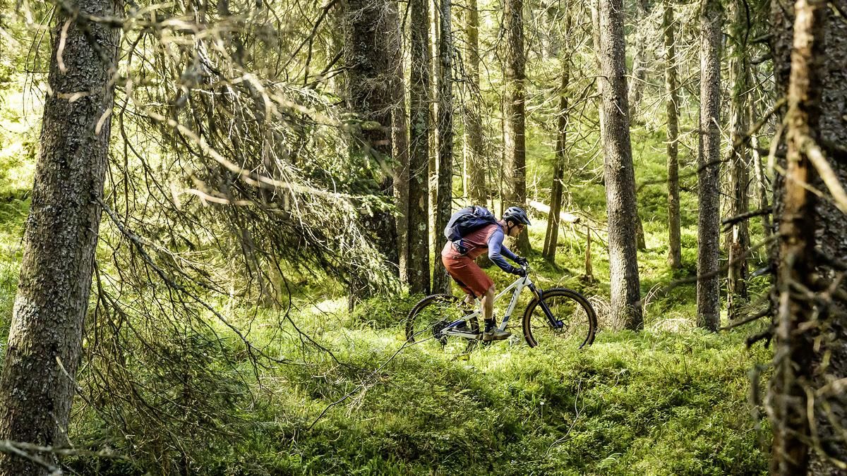 Waldtrail