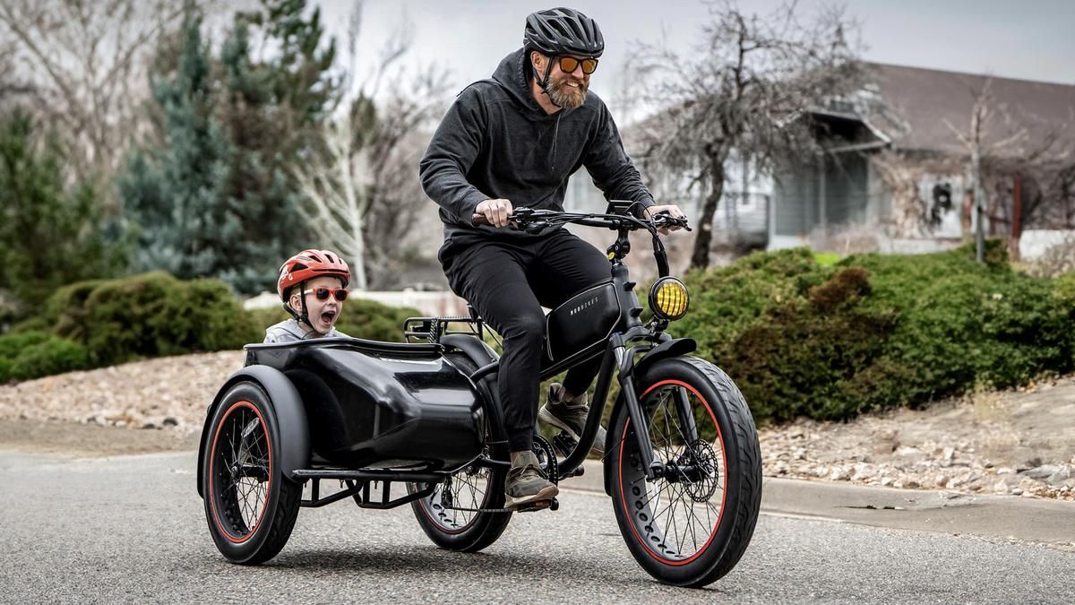E-Bike Seitenwagen Mod Easy Sidecar