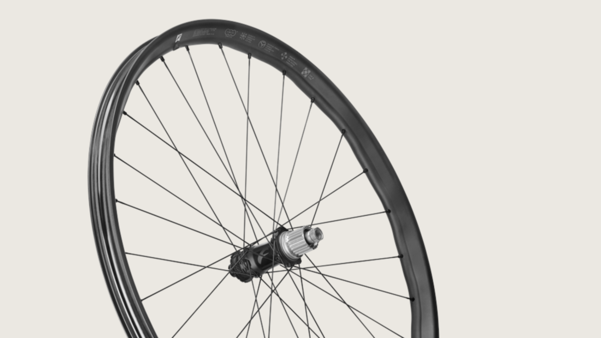Fulcrum Pedal to the Metal