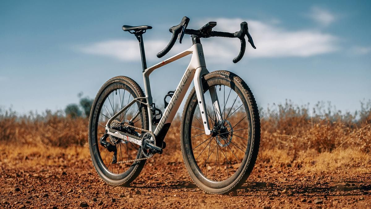 Mondraker Arid Carbon