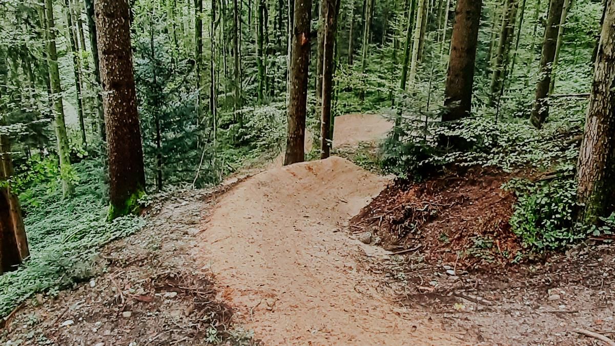 Waldeggtrail St. Gallen 2024