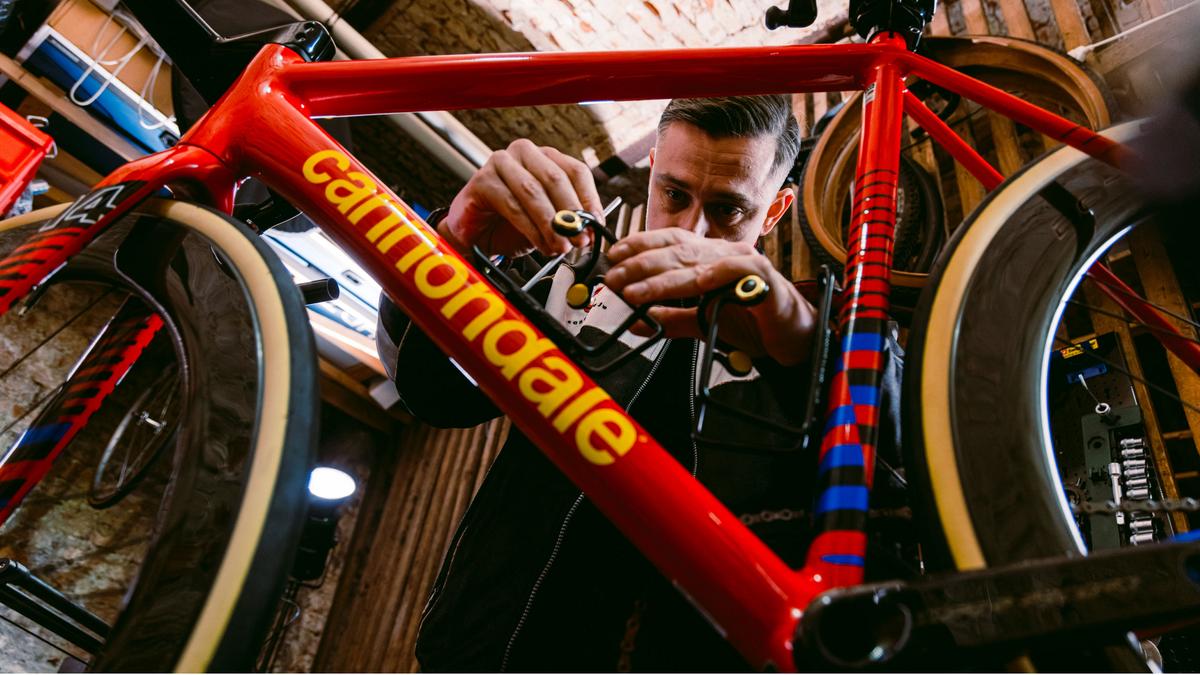 Cannondale Frame