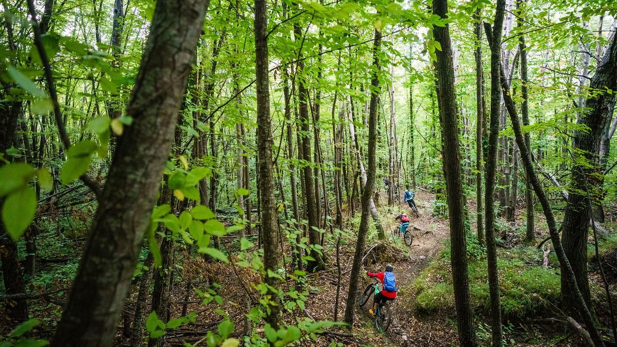 Agrifolio-Trail (Molini di Triora)