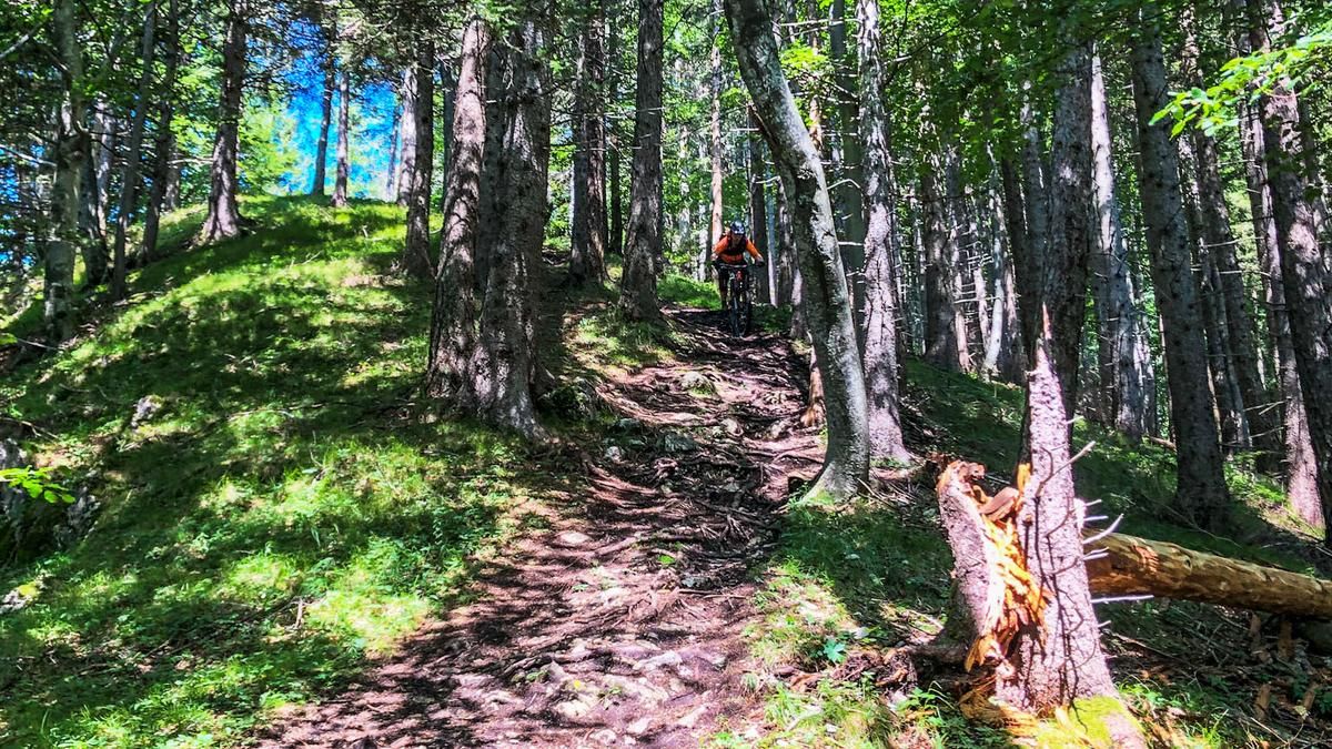 Haindorfer Berg Trail