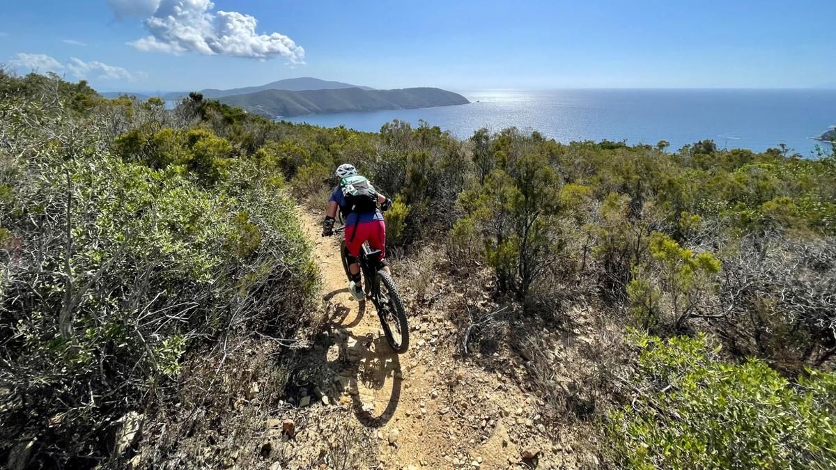 Monte Tambone (Elba)