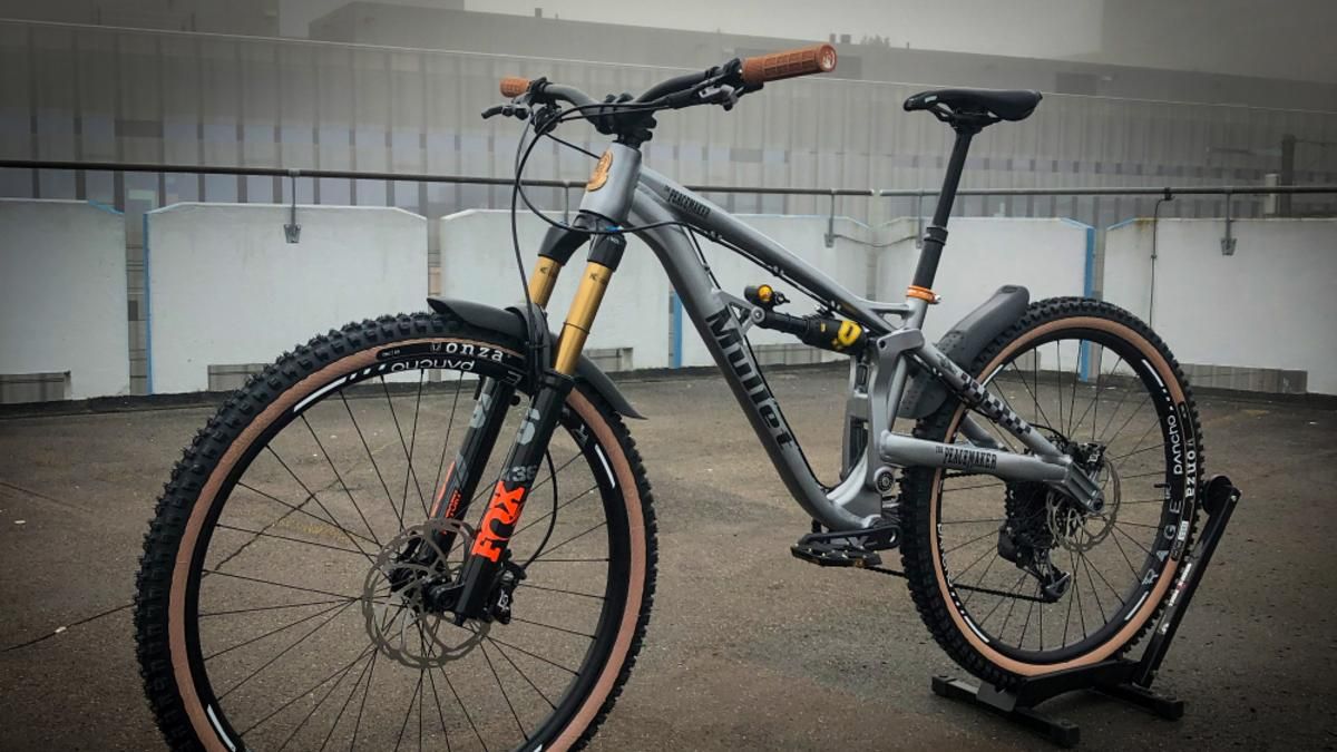 Mullet Cycles in der Schweiz