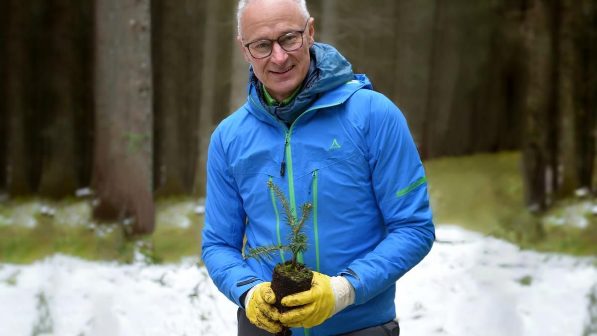 Schöffel pflanzt 30'000 Bäume