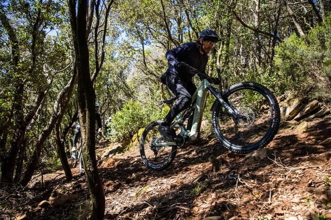 Canyon Strive:ON erste Fahreindrücke auf Trails
