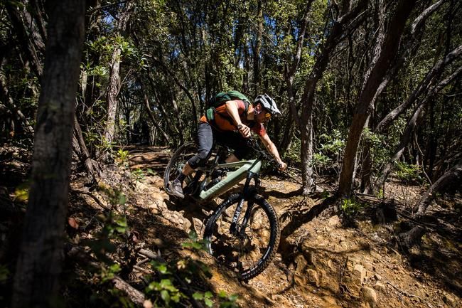 Canyon Strive:ON erste Fahreindrücke auf Trails