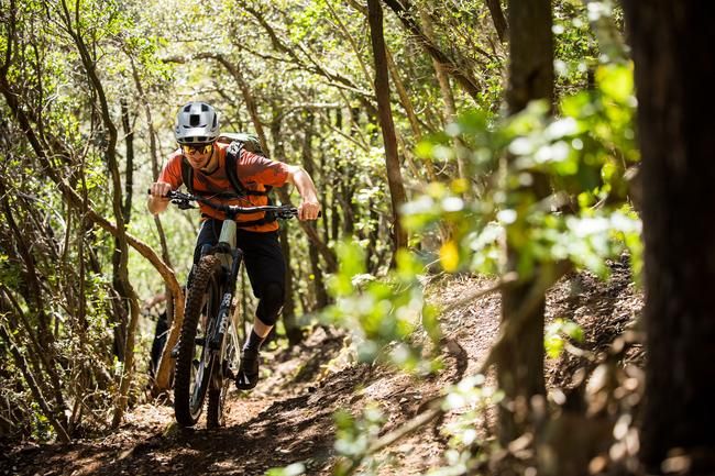 Canyon Strive:ON erste Fahreindrücke auf Trails