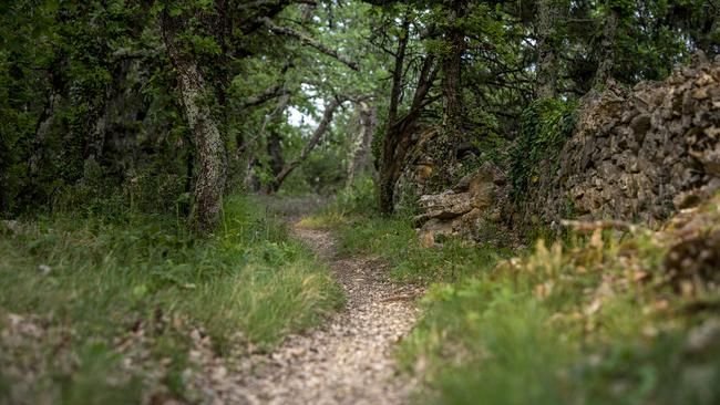 Trail-Bauwoche Ardèche