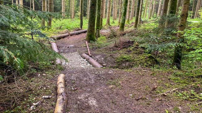 Mit Liebe von Hand gemacht. Am Sänder Trail ist viel Natur.