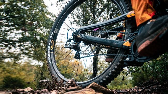 Tacky Chan, Schwalbes neuer Downhill-Star