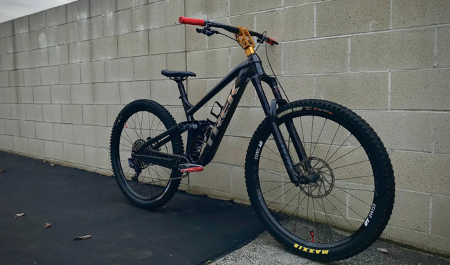 BMB RR Stem