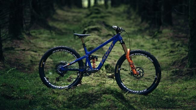 Pivot Firebird PFR Limited Edition