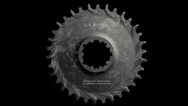 Gemini Rigel Kettenblatt