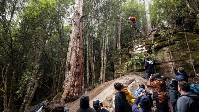 Red Bull Hardline: Das sind riesige Sprünge, hohe Drops und technisch anspruchsvolle Passagen, quasi Freeride gegen die Uhr.