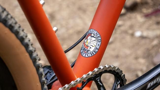 Ritchey P29er