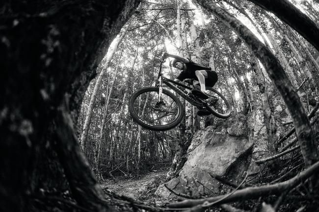 Das neue Santa Cruz Tallboy.