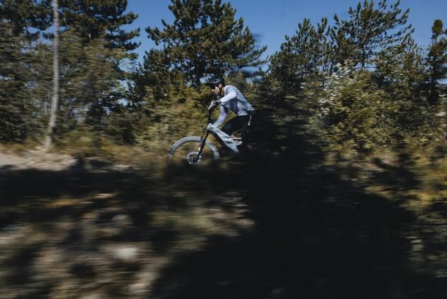 Am Sea Otter Festival 2026 ging der Vorhang hoch