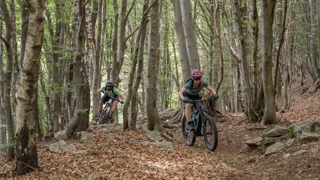 Valle Morobbia Bike