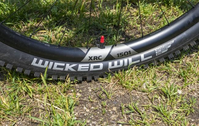Test Schwalbe Wicked Will