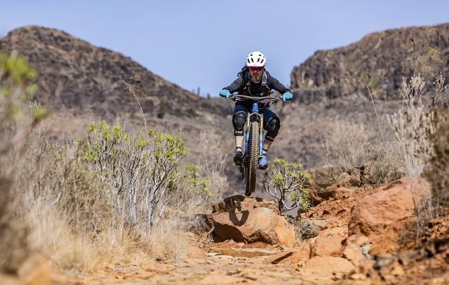 Pivot Switchblade 2020