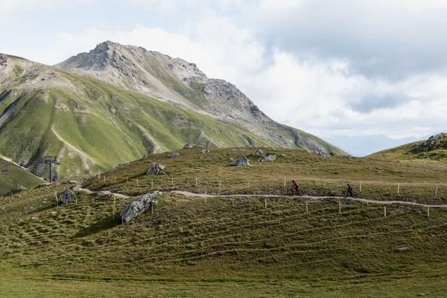 Marmotta Flowtrail Corviglia Engadin