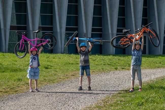 Naloo Bikes
