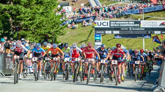 WM-Vorschau 2019