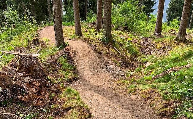 Val Lumnezia saniert Trails 2019