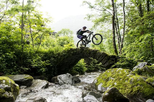 Thomas Schmitt