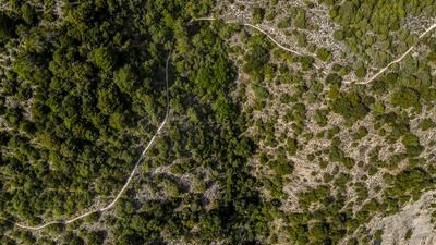 Guides und Gäste pflegen Trails in der Ardèche gemeinsam.