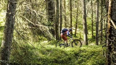 Waldtrail