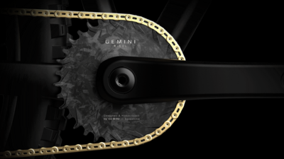 Gemini Rigel